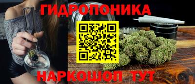 гашик Кинель
