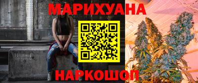 сатива Кингисепп