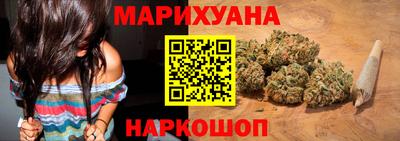 сатива Кингисепп