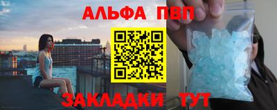 сатива Кингисепп