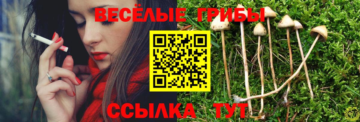 Псилоцибиновые грибы Cubensis  Галлюциногенные грибы ЛСД  Вход с VPN  Майский 