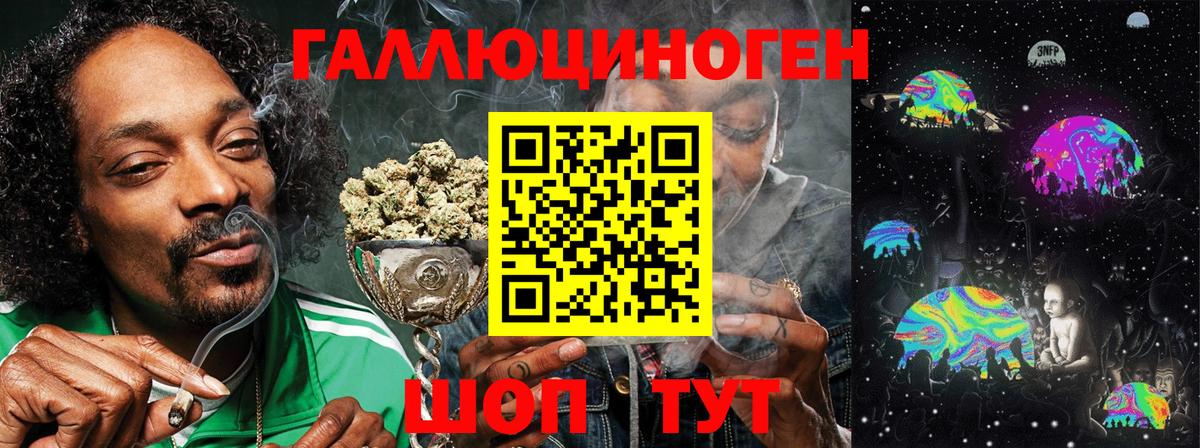 Галлюциногенные грибы Psilocybe Майский